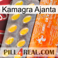 Kamagra Ajanta new05